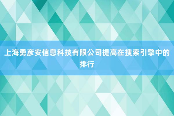 上海勇彦安信息科技有限公司提高在搜索引擎中的排行
